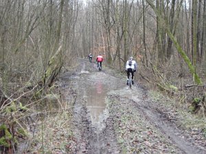 Waldtour 016